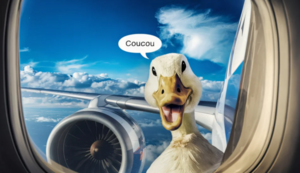 Coucou canard
